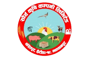 Saurya Krishi Company